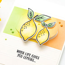 Load image into Gallery viewer, Hero Arts CIRCLE PEEK-A-BOO DOORS MINI INFINITY DIES