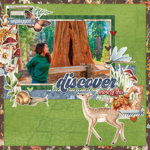 Ohio Papercrafting Shop Hop Passport, Simple Stories Vintage Woodland